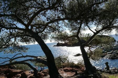 Le Palais Royal Saint-Raphael (Var) Exterior foto